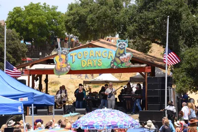 DSC_1987 (Large).JPG